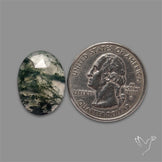 Rose Cut Moss Agate