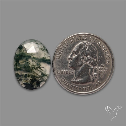 Rose Cut Moss Agate