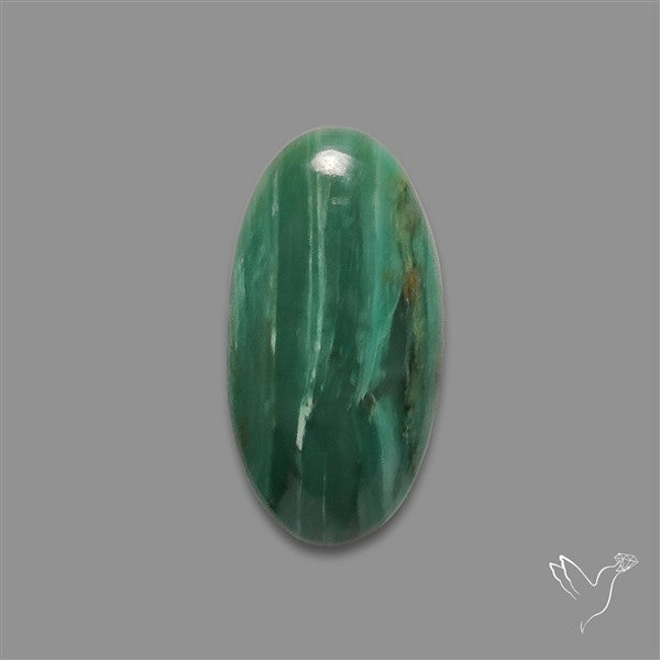 Larsonite Gary Green Jasper Cabochon
