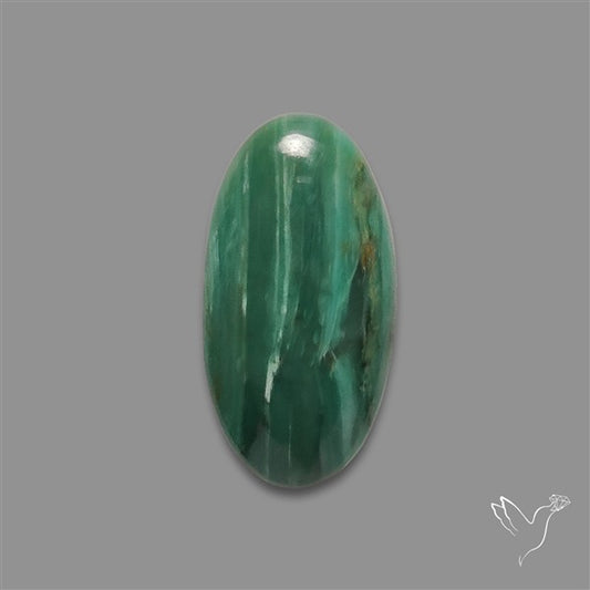 Larsonite Gary Green Jasper Cabochon
