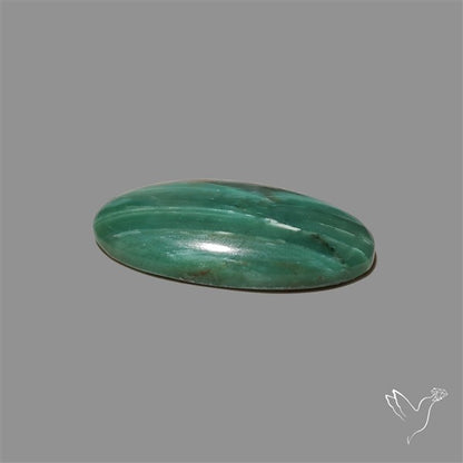 Larsonite Gary Green Jasper Cabochon