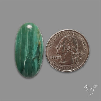 Larsonite Gary Green Jasper Cabochon