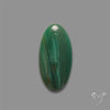 Larsonite Gary Green Jasper Cabochon