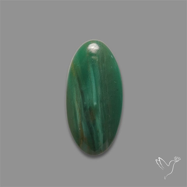 Larsonite Gary Green Jasper Cabochon