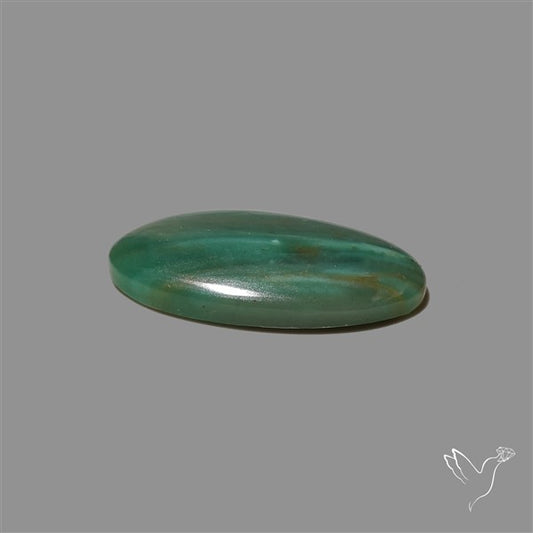 Larsonite Gary Green Jasper Cabochon