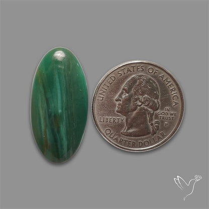 Larsonite Gary Green Jasper Cabochon