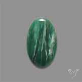 Larsonite Gary Green Jasper Cabochon