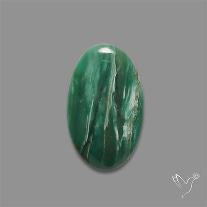 Larsonite Gary Green Jasper Cabochon