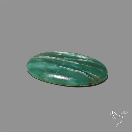 Larsonite Gary Green Jasper Cabochon