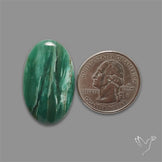 Larsonite Gary Green Jasper Cabochon