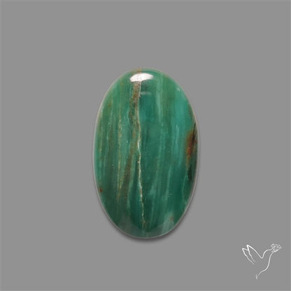 Larsonite Gary Green Jasper Cabochon