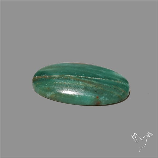 Larsonite Gary Green Jasper Cabochon
