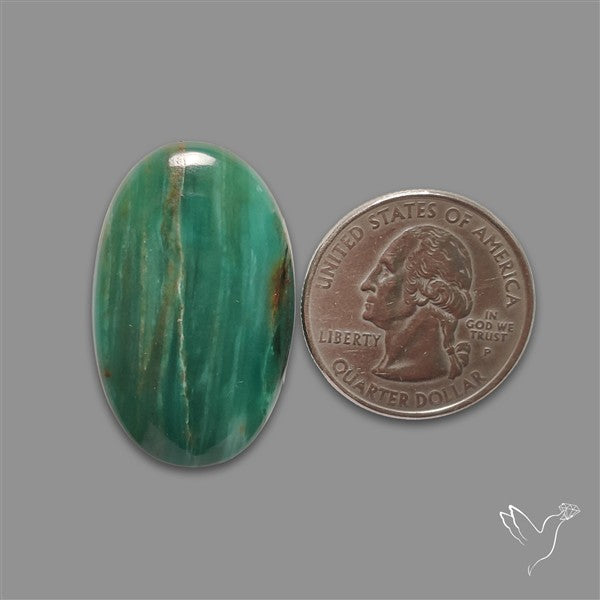 Larsonite Gary Green Jasper Cabochon