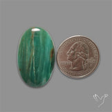 Larsonite Gary Green Jasper Cabochon