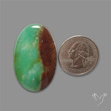 Boulder Chrysoprase Cabochon