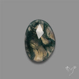 Rose Cut Moss Agate