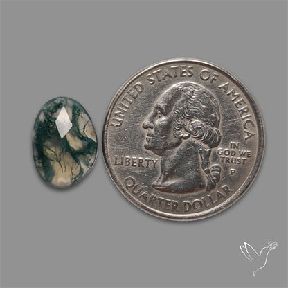 Rose Cut Moss Agate