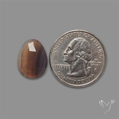Rose Cut Botswana Agate