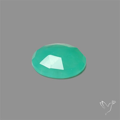 Rose Cut Gemmy Chrysoprase