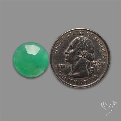 Rose Cut Gemmy Chrysoprase