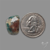 Rose Cut Red Moss Agate