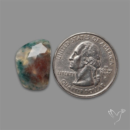 Rose Cut Red Moss Agate