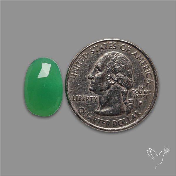Rose Cut Gemmy Chrysoprase