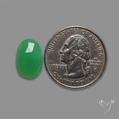 Rose Cut Gemmy Chrysoprase