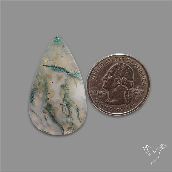 Horse Canyon Moss Agate Cabochon