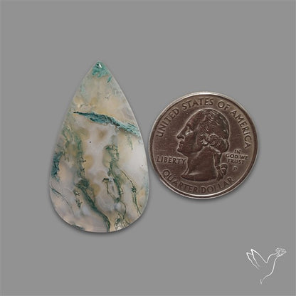 Horse Canyon Moss Agate Cabochon