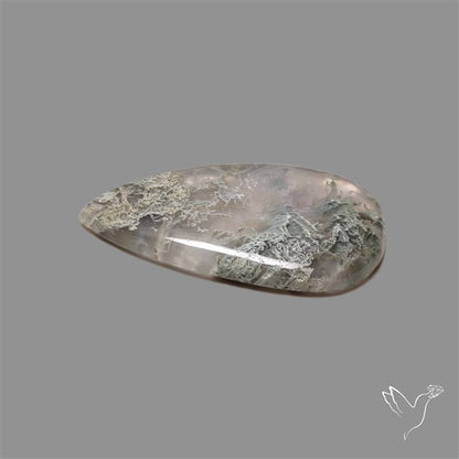 Horse Canyon Moss Agate Cabochon