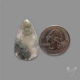Horse Canyon Moss Agate Cabochon