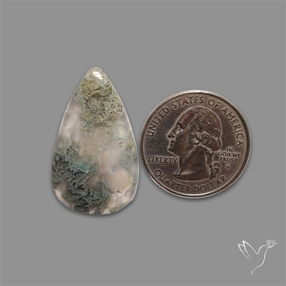 Horse Canyon Moss Agate Cabochon