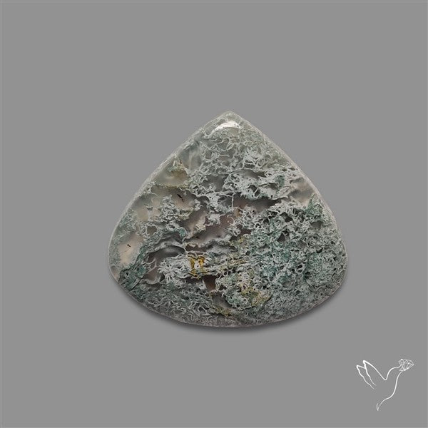 Horse Canyon Moss Agate Cabochon