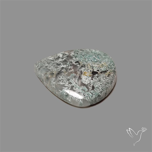 Horse Canyon Moss Agate Cabochon