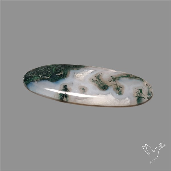 Horse Canyon Moss Agate Cabochon