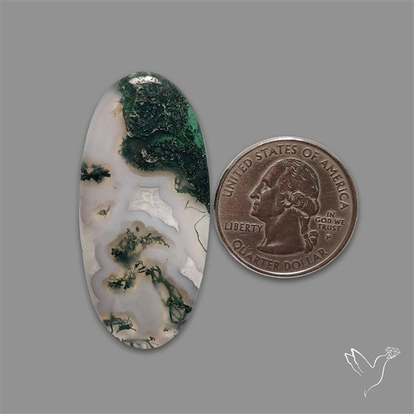 Horse Canyon Moss Agate Cabochon