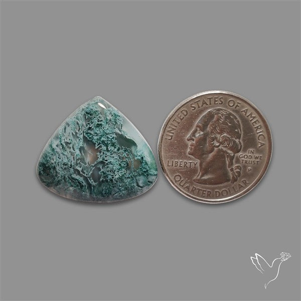 Horse Canyon Moss Agate Cabochon