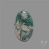 Horse Canyon Moss Agate Cabochon