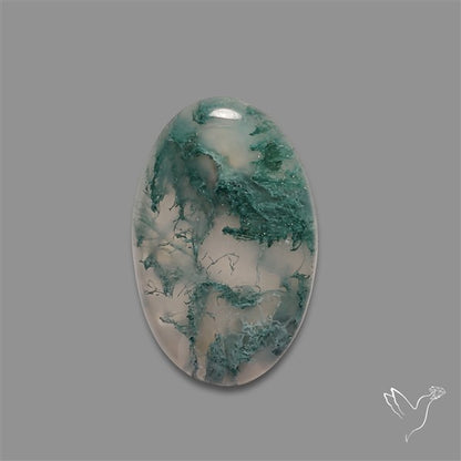 Horse Canyon Moss Agate Cabochon