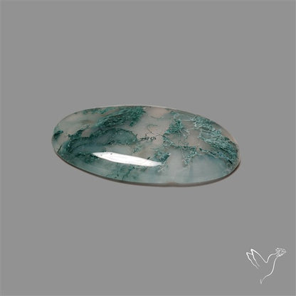 Horse Canyon Moss Agate Cabochon