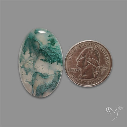 Horse Canyon Moss Agate Cabochon