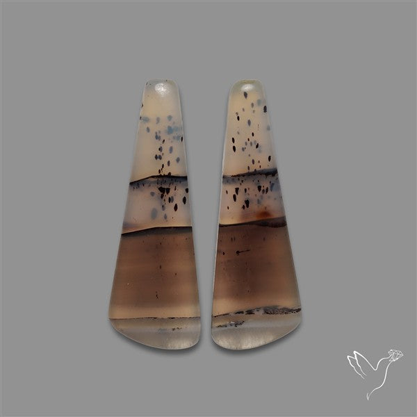 Montana Agate Pair