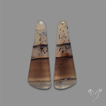 Montana Agate Pair