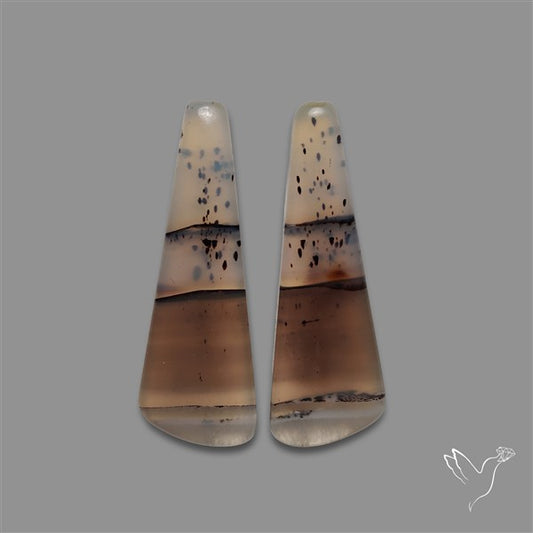 Montana Agate Pair