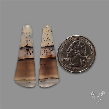Montana Agate Pair