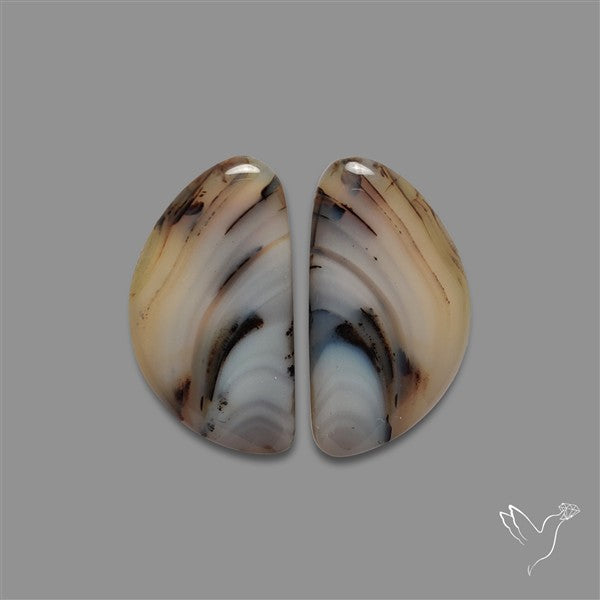 Montana Agate Pair