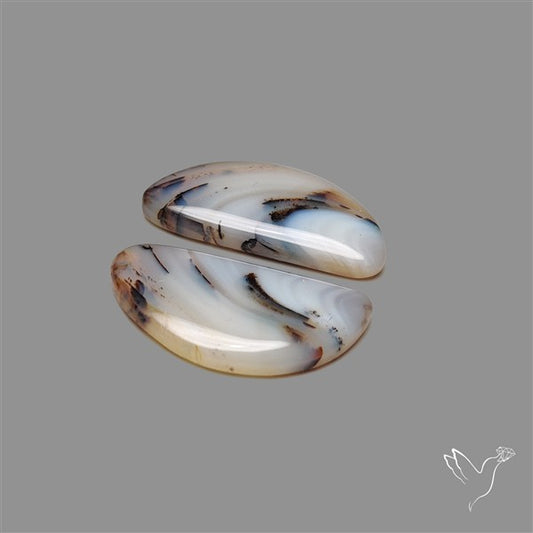 Montana Agate Pair