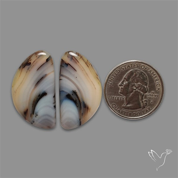 Montana Agate Pair
