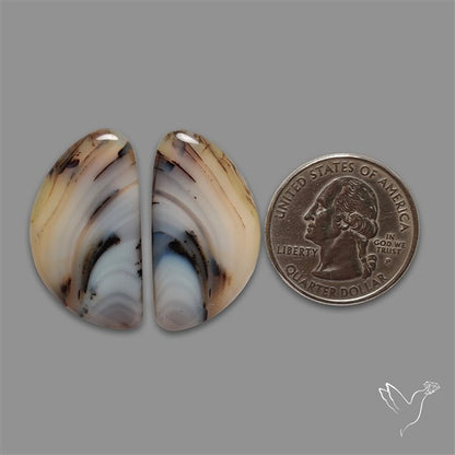 Montana Agate Pair